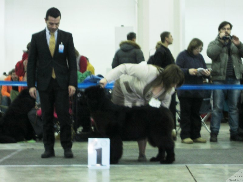 Фотография № 120082