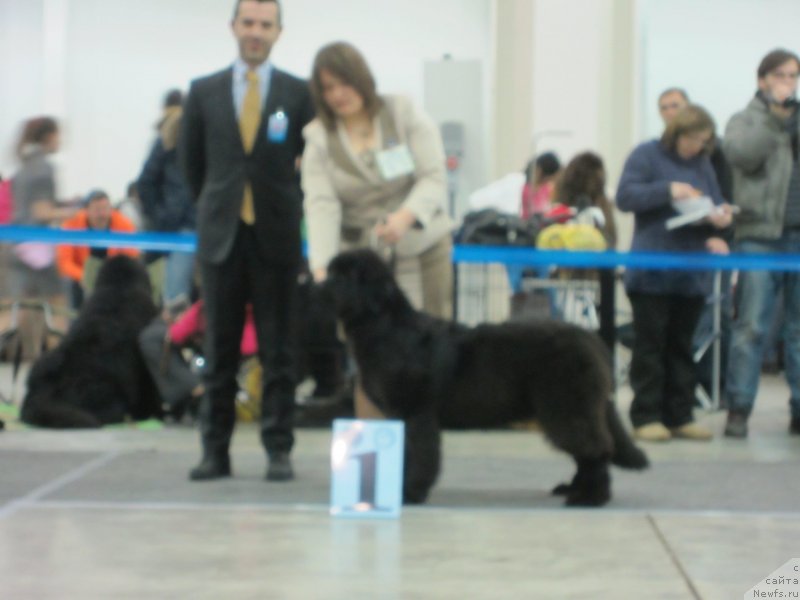 Фотография № 120083