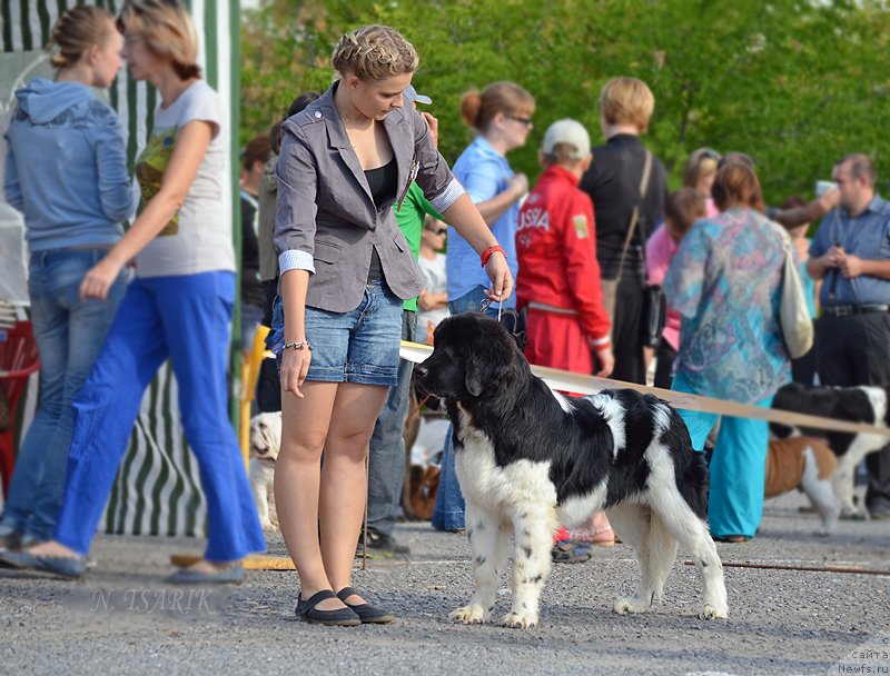 Фото: Александра Будченко
