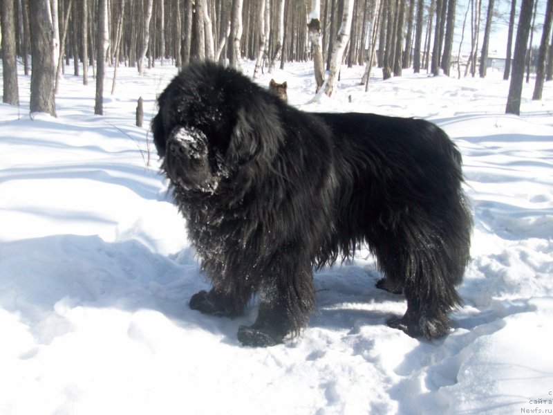 Фотография № 120131