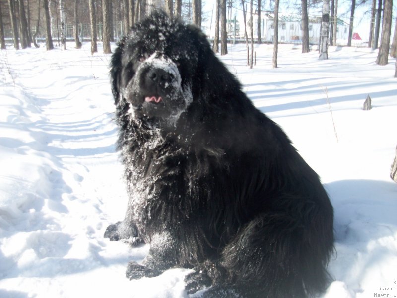 Фотография № 120132