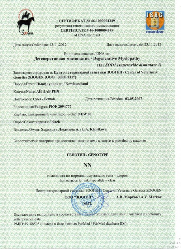 Фото: ньюфаундленд Ай Лав Рич (Ai Love Rich)