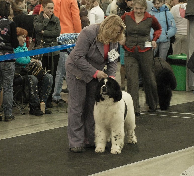 Фотография № 120143