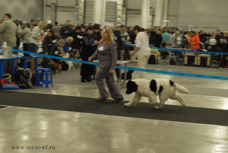 Фотография № 120144