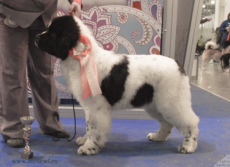 Фотография № 120145