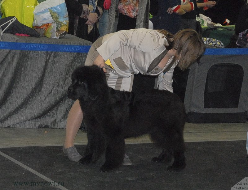 Фотография № 120146