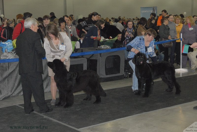 Фотография № 120147