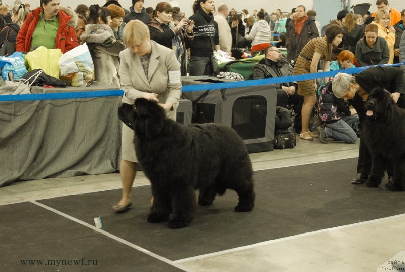 Фотография № 120148