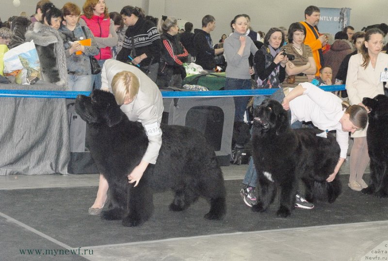 Фотография № 120151