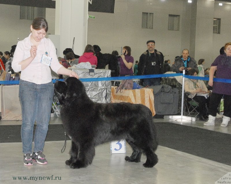 Фотография № 120155