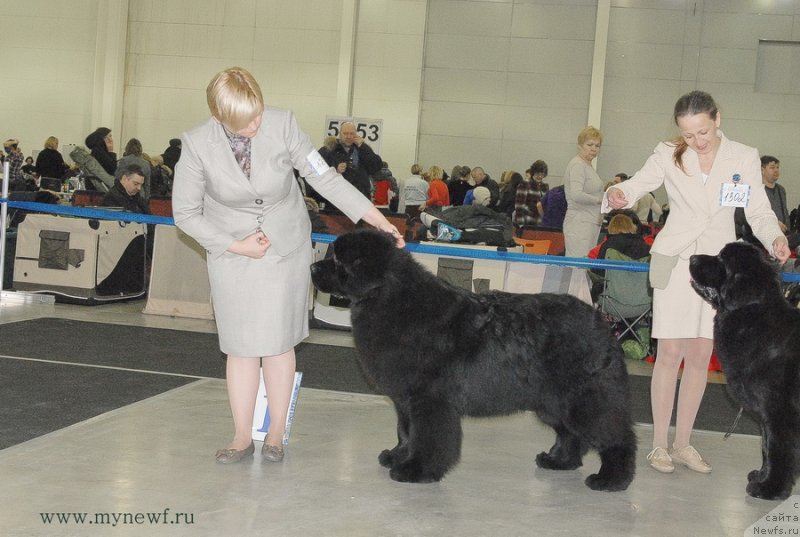 Фотография № 120157