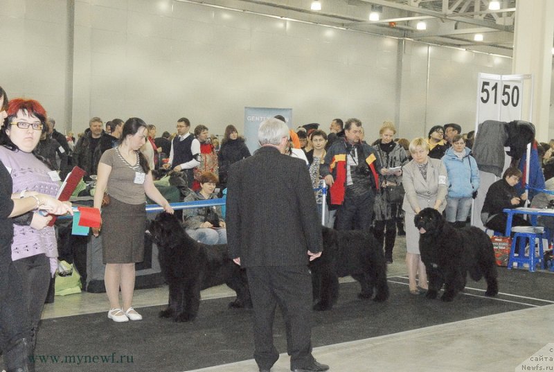 Фотография № 120168