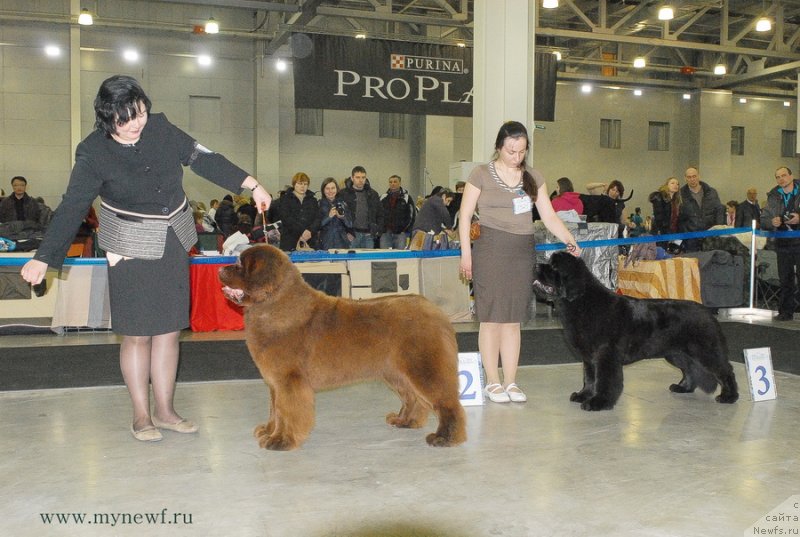 Фотография № 120175