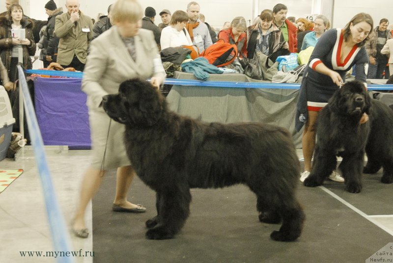 Фотография № 120180