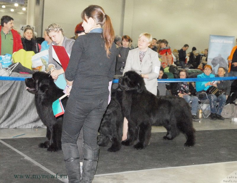 Фотография № 120183