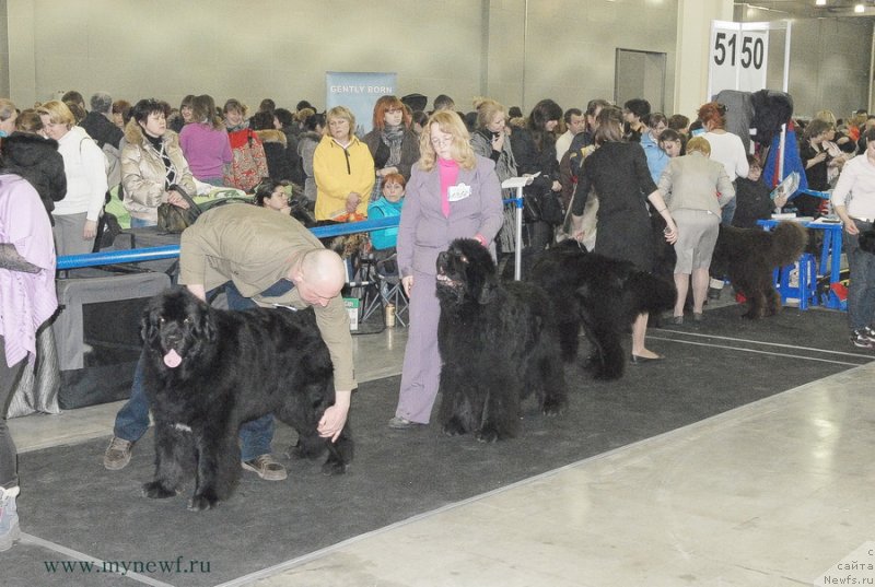 Фотография № 120189