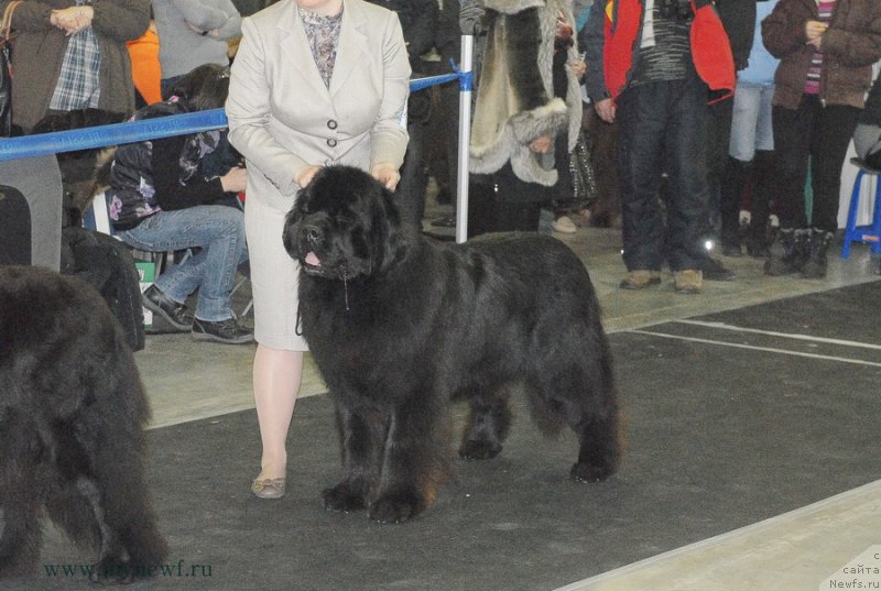 Фотография № 120193