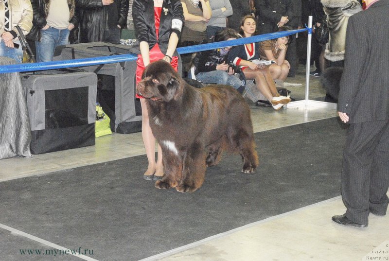 Фотография № 120194