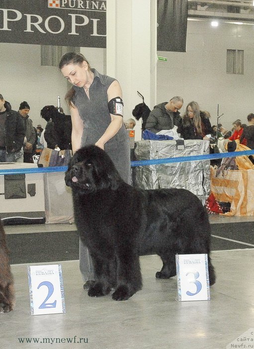 Фотография № 120199