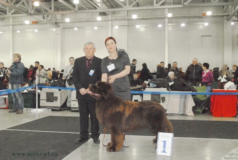 Фотография № 120202