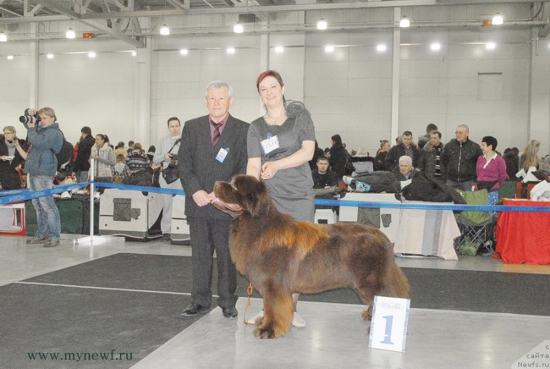 Фотография № 120203