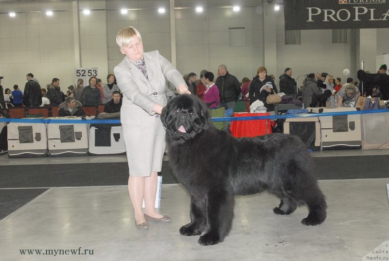 Фотография № 120206