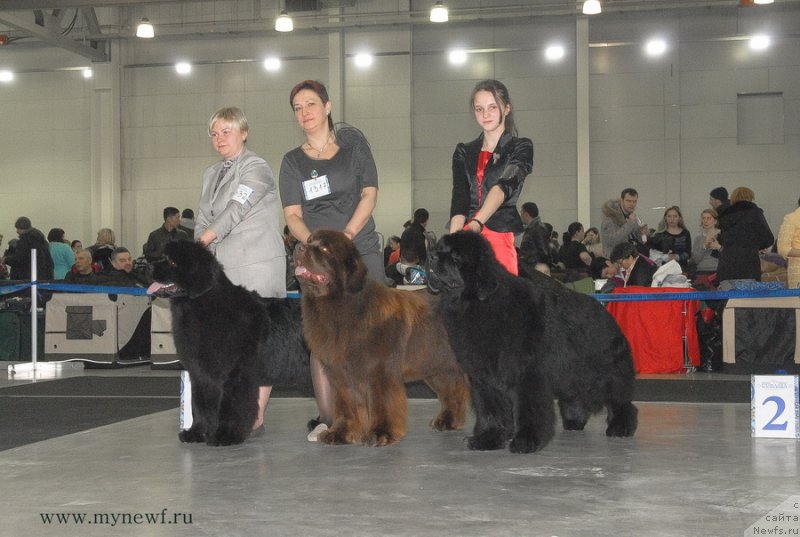 Фотография № 120212