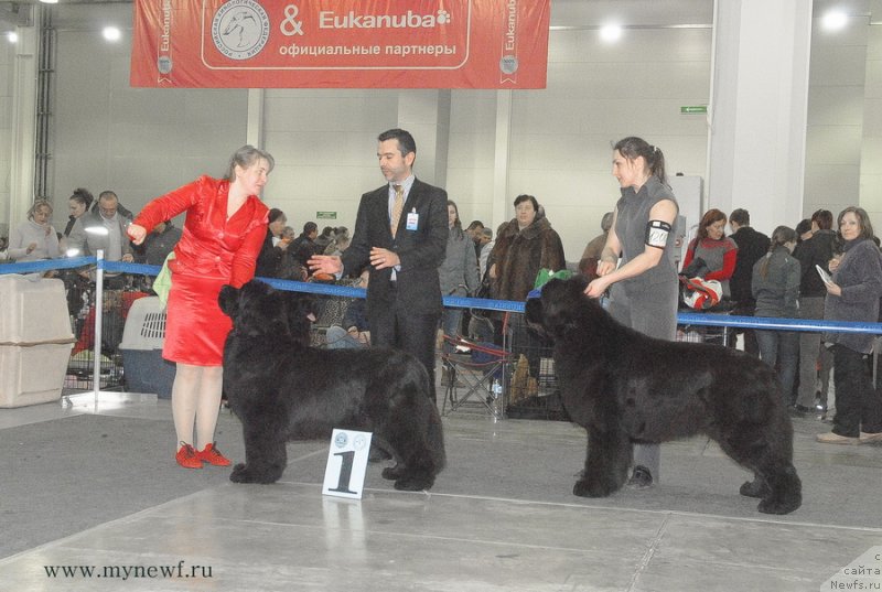 Фотография № 120229