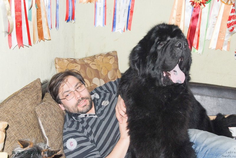 Фотография № 120244