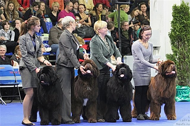 Фотография № 120252