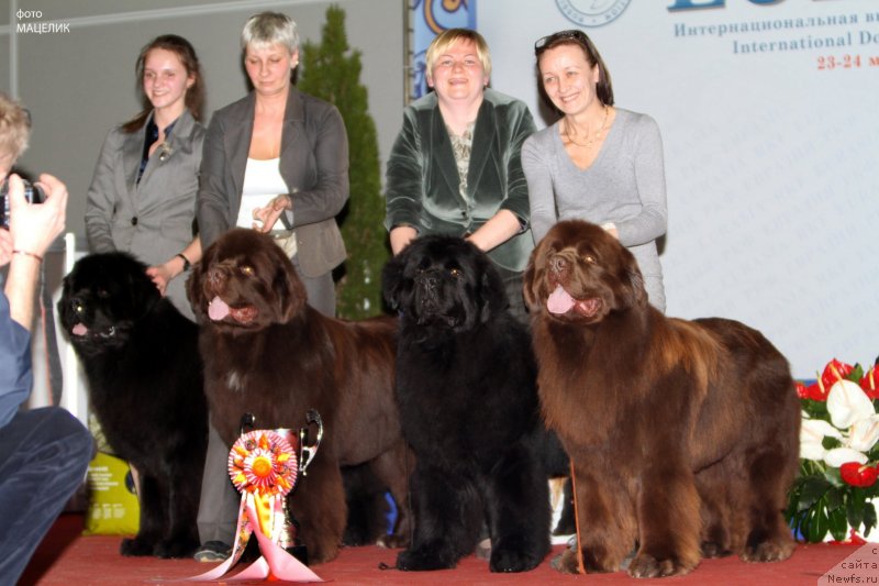 Фотография № 120253