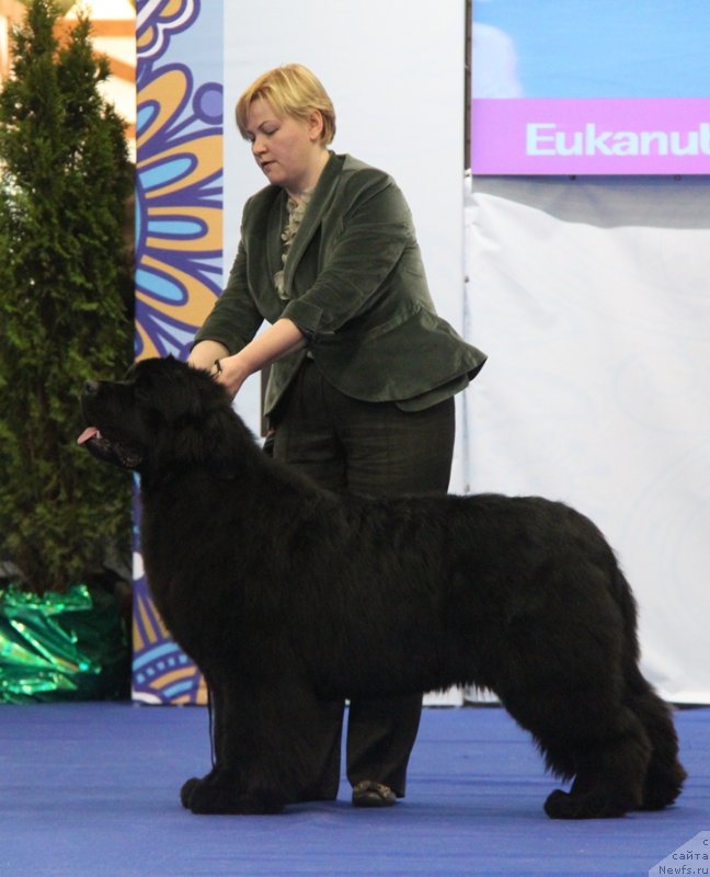 Фотография № 120274