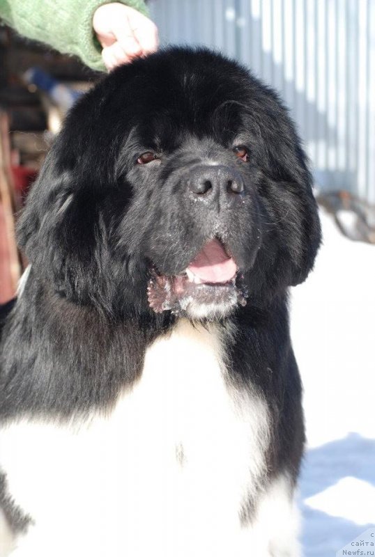 Фотография № 120280