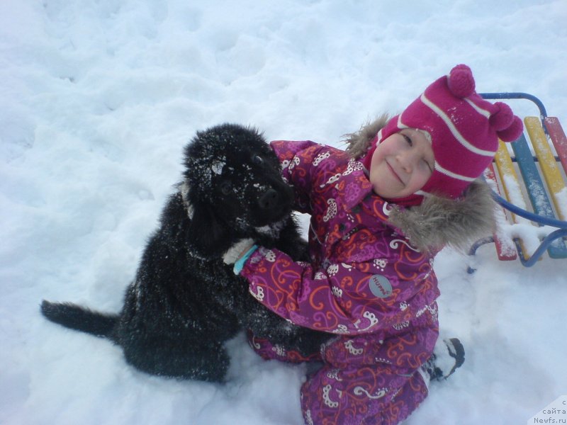 Фотография № 120291