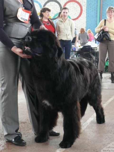 Фотография № 12033