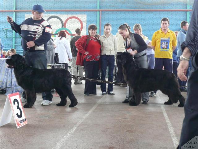 Фотография № 12041