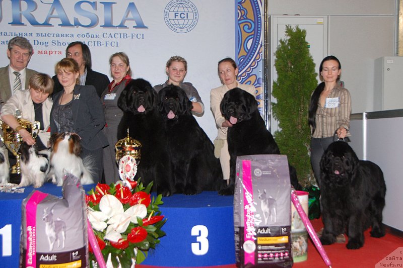 Фотография № 120425