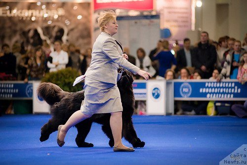 Фотография № 120439