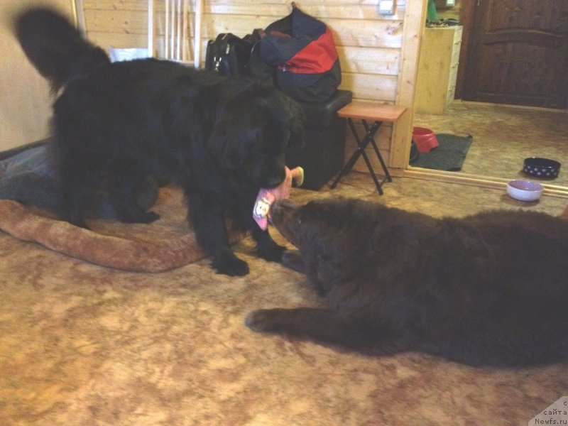 Фотография № 120440