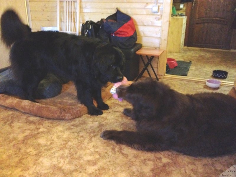 Фотография № 120441