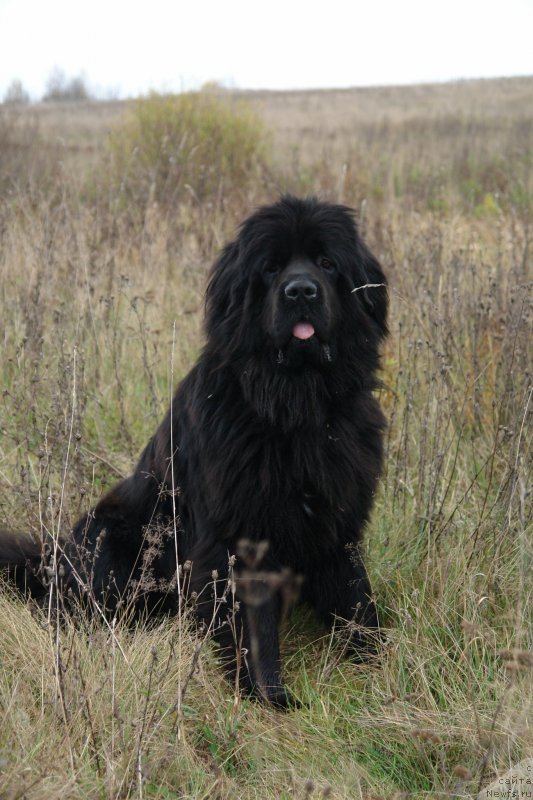 Фотография № 120446