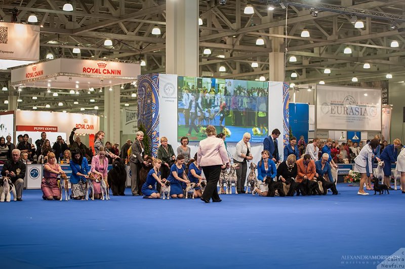 Фотография № 120453