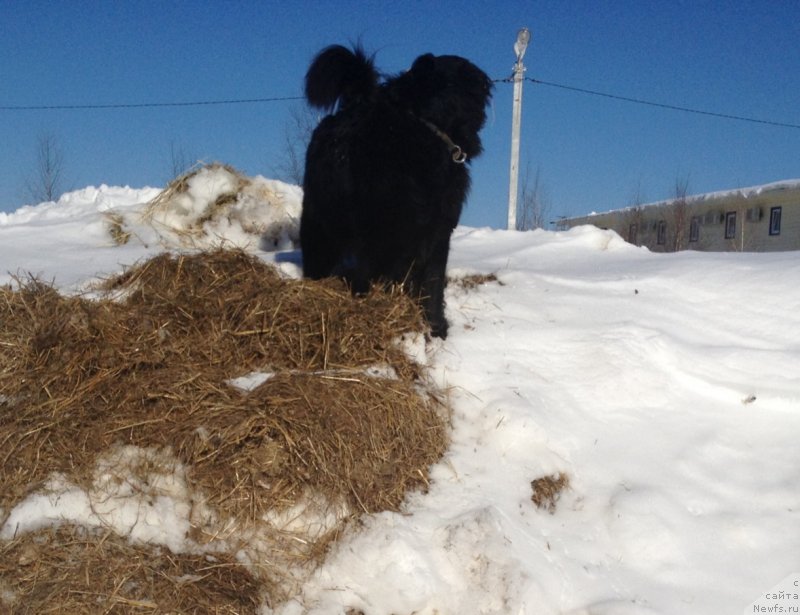 Фотография № 120458