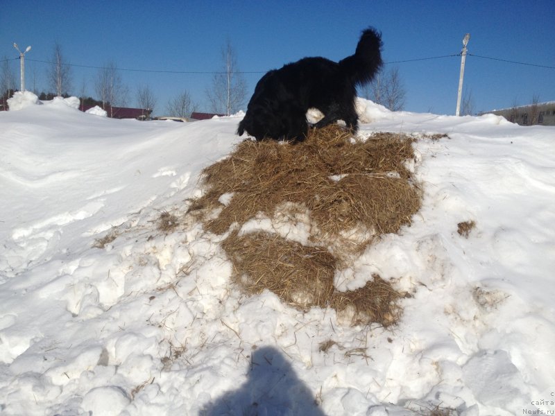 Фотография № 120460