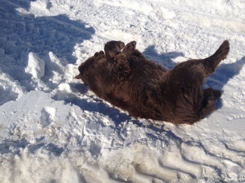 Фотография № 120512