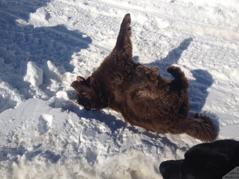 Фотография № 120514