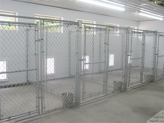 Фотография № 120537