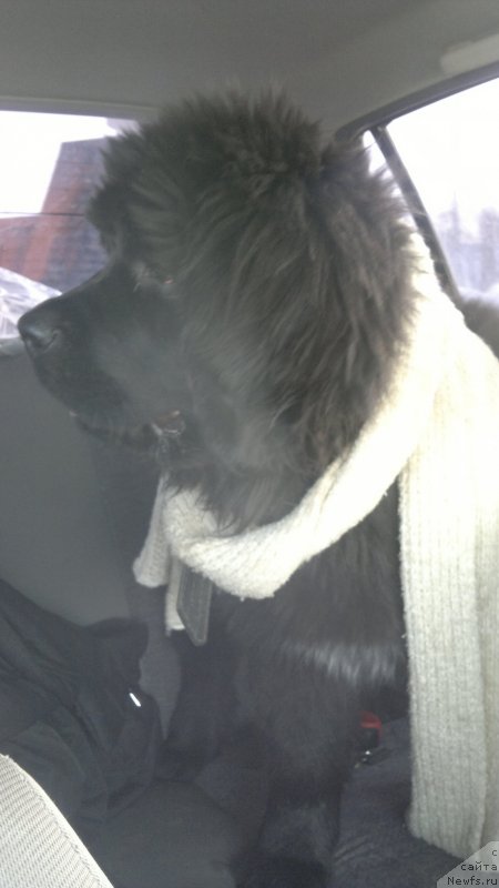 Фотография № 120542