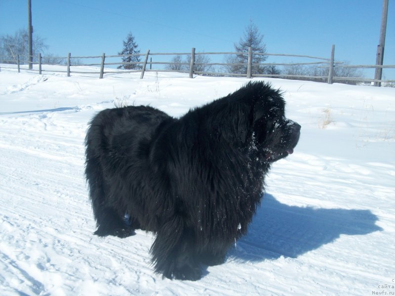 Фотография № 120543