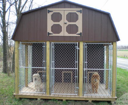 Фотография № 120556